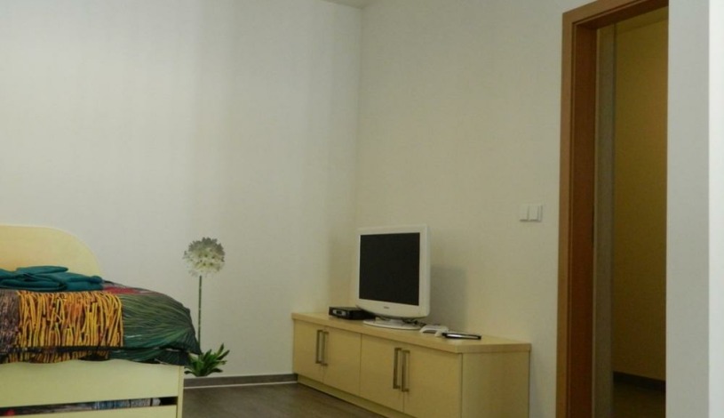 Apartmány Zvon Špindlerův Mlýn Špindlerův Mlýn - Apartmá č. 202 (1+kk)